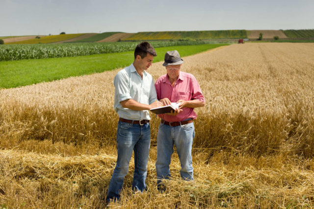 agricoltura-640×427